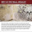 Anti-Mould Cleaning Foam Spray for Effective Mould Removal 4