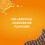 McVities McVitie's Ginger Nuts Biscuits, 250 g (24 Pack) 5