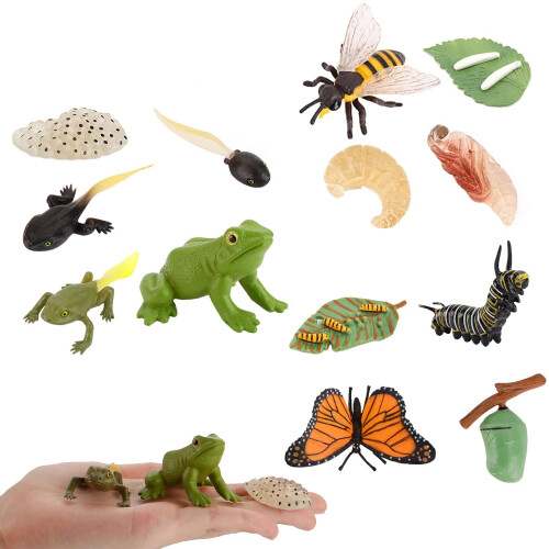 JOKFEICE 13pcs Insect Toys Life Cycle of Butterfly, Honey Bee & Frog ...