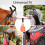 Baby Uma Buggy Clips - 2022 Double-Platinum Winning Pram Clips, Universal 7