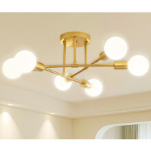 Dellemade Ceiling Light, 6-Lights Chandeliers Gold Ceiling Lighting for Living Room,Bedroom,Kitchen (Gold)