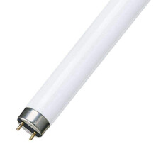 F58W 5FT T8 Fluorescent tube 840 - cool white