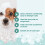 Groomers Performance Intensive Detangle Spray 5