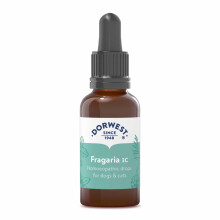 Dorwest Herbs Fragaria 3C Homoeopathic Liquid Remedy for Dogs & Cats - 15ml