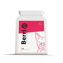 Dog's Lounge - Berri - Advanced Bladder & Kidney Support for Dogs | Supplement with Cranberry, Marshmallow Root, D-Mannose, Liquorice, Astragalus