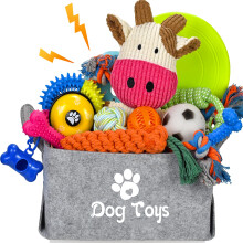 LECHONG 21 PACK Puppy Starter Toys Set, Enriched Chew Toys with Dog Toy Box, Puppy Teething Toys from 8 Weeks to 12 Weeks Small Dogs for Playing and