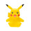 Pokémon Pok 4