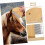 Horse Deshedding Tool for Large Animals, Ergonomic Design, Durable Material, Improves Circulation, Effective Coat Care 5