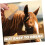Horse Deshedding Tool for Large Animals, Ergonomic Design, Durable Material, Improves Circulation, Effective Coat Care 3