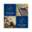 Panasonic Basis mobiele telefoon Panasonic KX-TU550EXC Blauw 5