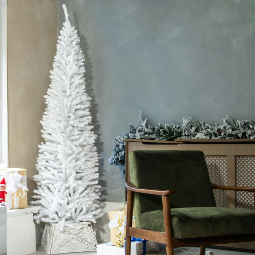 (4ft) The White Italian Pencilimo Tree (4ft to 8ft)