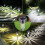 12Pcs Solar Garden Lights Outdoor Cordless 2