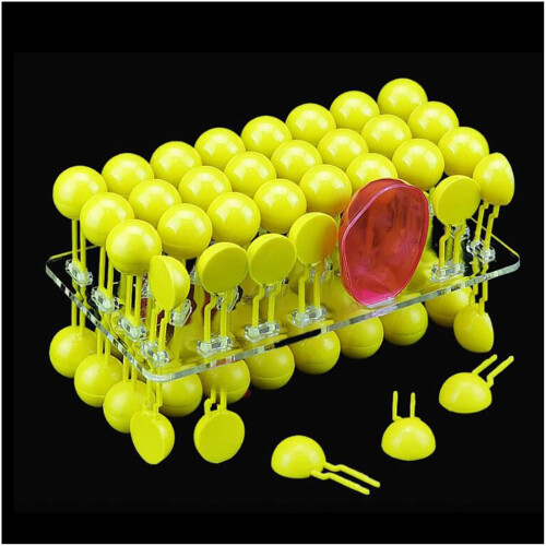 Cell Membrane Flow Mosaic Model for Biological Experiments - Educational Teaching Instrument, Durable Structure Model 1