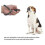 2 Pcs Hund Training Clicker Professionelle Pet Training Hund 2