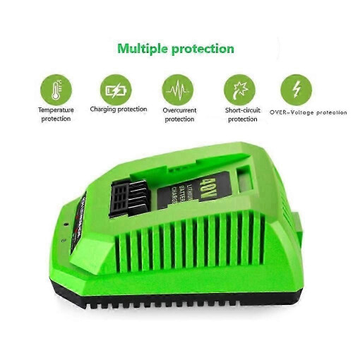 Φορτιστής μπαταρίας λιθίου 40V για GreenWorks 29482 G-MAX Μπαταρία 2