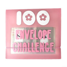 Inspiring Financial Discipline Savings Binder 100 Slots Compact Organizer for All Ages - Pink Rose Color