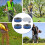 Snaar voor trimmer Precise String Trimmer Weedwacker Snaar 2
