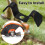 Bed Edger Blade Compatible for Bed Redefiner Blade 4150-2 5