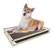 Dog Toilet for Indoor and Outdoor Use, Sturdy Potty Drawer for Small and Large Dogs, Puppy Pipi Pad Holder 78x50cm