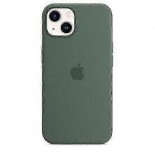 (Eucalyptus) Silicone Case With Magsafe For Iphone 13 Mini Phone Case - KM