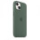 (Eucalyptus) Silicone Case With Magsafe For Iphone 13 Mini Phone Case - KM 2