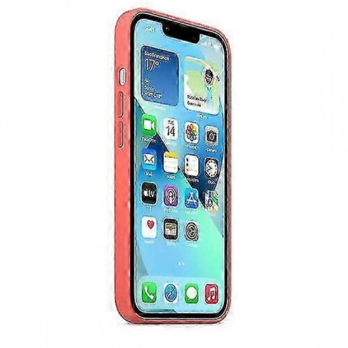 (Pink Pomelo) Silicone Case With Magsafe For Iphone 13 Mini Phone Case - KM 2