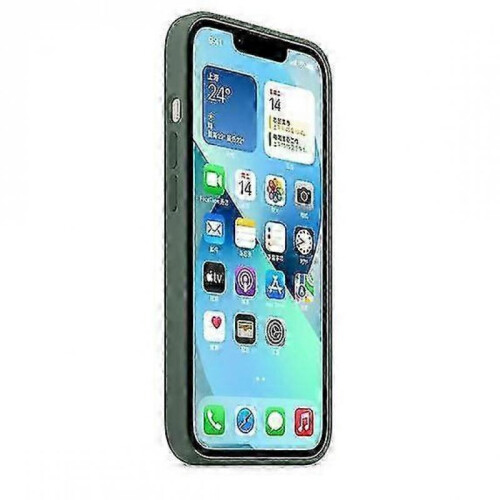 (Eucalyptus) Silicone Case With Magsafe For Iphone 13 Mini Phone Case - KM 2