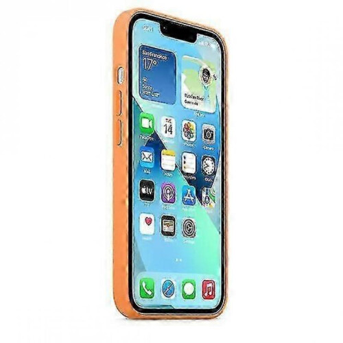 (Marigold) Silicone Case With Magsafe For Iphone 13 Mini Phone Case - KM 2