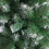 6FT Iron Leg White PVC 650 Branches Christmas Tree 3