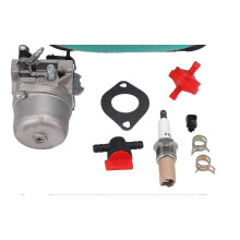 für Vergaser für Aufsitzmäher 12,5 PS Briggsstratton LMT 5-4993