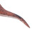 Pachycephalosaurus Version Sonore 20 mAh Figurine de dinosaure 11