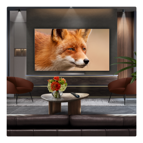 65INCH OLED evo AI C5 4K Smart TV 2025 2