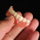 Veneers Snap On False Teeth Instant Smile Cosmetic Dentures Dental 2