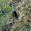 3.4mm Thickness 50m Boundary Cable for Robotic Lawn Mowers 4