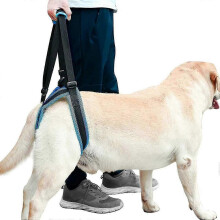 (M) Hundestützgeschirr, Hand-Hilfsgurt für Hunde, geeignet für die Rehabilitation älterer Hunde