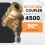Connecting Pivoting Coupler For High Pressure Washer Nozzle 4