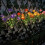 (Orange)Outdoor LED 7 Solar Simulation Flower Lights, 2 Pack 2025 5