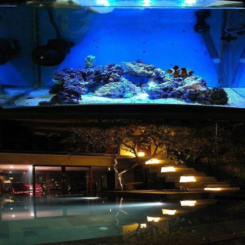 RGBW Led Light, Infrared Remote Control Adjustable Stand Underwater Spotlight for Pool Garden, Multi 1