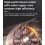 (Five-Cell Battery)Yiicoong Blower, Yiicoong Electric Blower, Multi-Purpose Cleaner 4