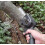(uk)2025 Mini Electric Chainsaw Rechargeble 12" 2