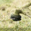 (Style 3)Replacement Lawn Mower Spool Compatible with Einhell CE-CT 36/30 Li E-Solo Agillo Models Grass 2