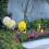 (Yellow)Led Solar Light Simulation Flower Lawn Lamp Waterproof Decorative Lights 5