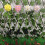 (Pink)Led Solar Light Simulation Flower Lawn Lamp Waterproof Decorative Lights 5