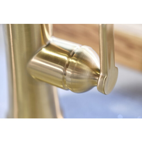 Riobel Trattoria Mixer with Pull Down Spray Round Spout Brushed Gold Kitchen Tap 1