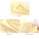 French Curved Ruler for Sewing, Multi-Functional Patchwork Measuring Tool, Drawing Template for Crafting and Quilting 2