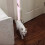 Pet Door Opener, Adjustable Training Tool, Non-Drill Installation, Fits Small to Medium Pets, Durable Design 5