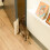 Pet Door Opener, Adjustable Training Tool, Non-Drill Installation, Fits Small to Medium Pets, Durable Design 4