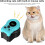 Interactive Cat Toy for Indoor Cats, Automatic Treadmill with Remote Control, Adjustable Speed, Simulated Hunting Experience 3