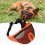 Verstellbare Bulldoggen-Netzmuzzle zum Training, Orange, Größe L 1