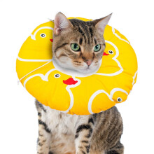 Cat Recovery Collar - Adjustable Soft Donut Cone for Cats, Full Neck Support, Comfortable Fabric, Non-Blocking Design